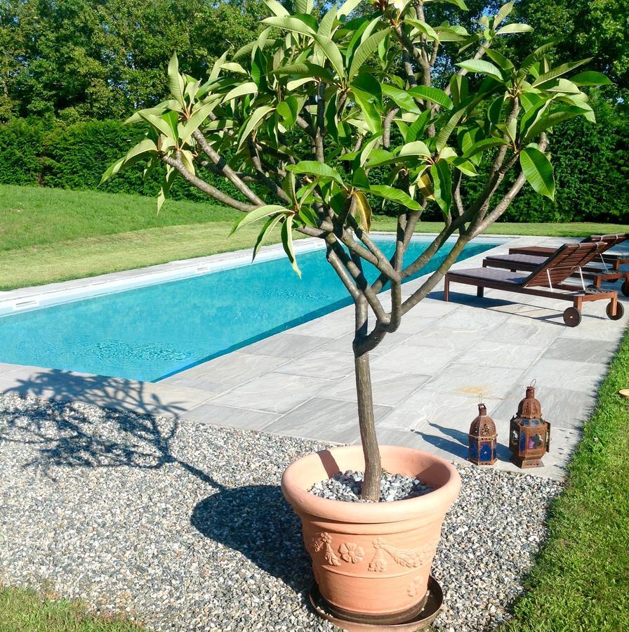 Bed and Breakfast Alla Gazza Ladra Prato Sesia Pokoj fotografie